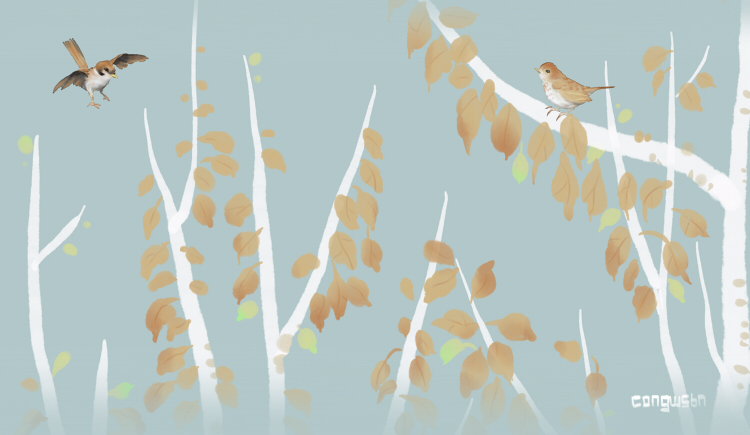 Congwsbn的個人主頁（封面預(yù)覽） - 主頁封面設(shè)置 - 站酷設(shè)計師Congwsbn原創(chuàng)素材 - 站酷ZCOOL