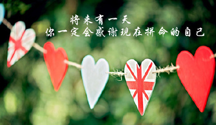 pattern_designer的个人主页（封面预览） - 主页封面设置 - 站酷设计师pattern_designer原创素材 - 站酷ZCOOL