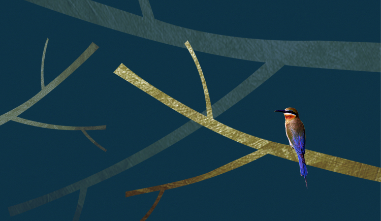 JonnyZ的个人主页（封面预览） - 主页封面设置 - 站酷设计师JonnyZ原创素材 - 站酷ZCOOL