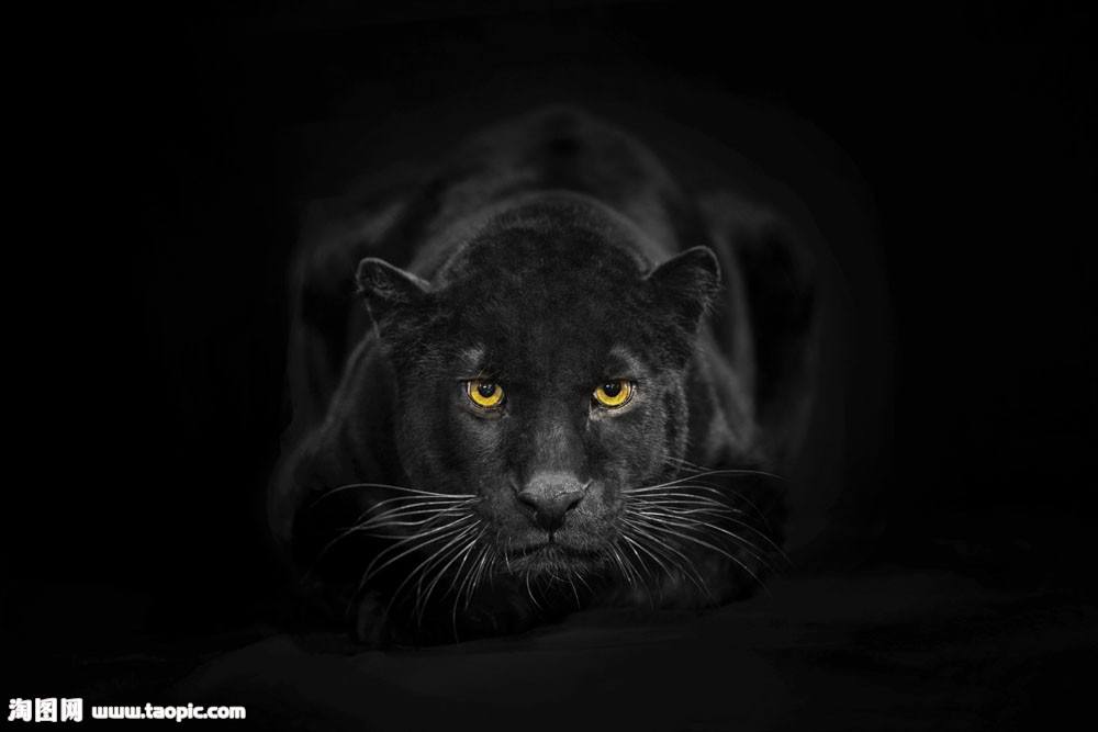 yanyanmeili的个人主页（封面预览） - 主页封面设置 - 站酷设计师yanyanmeili原创素材 - 站酷ZCOOL