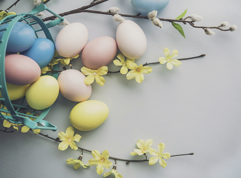 漫漫鹿上的个人主页（封面预览） - 主页封面设置 - 站酷设计师漫漫鹿上原创素材 - 站酷ZCOOL