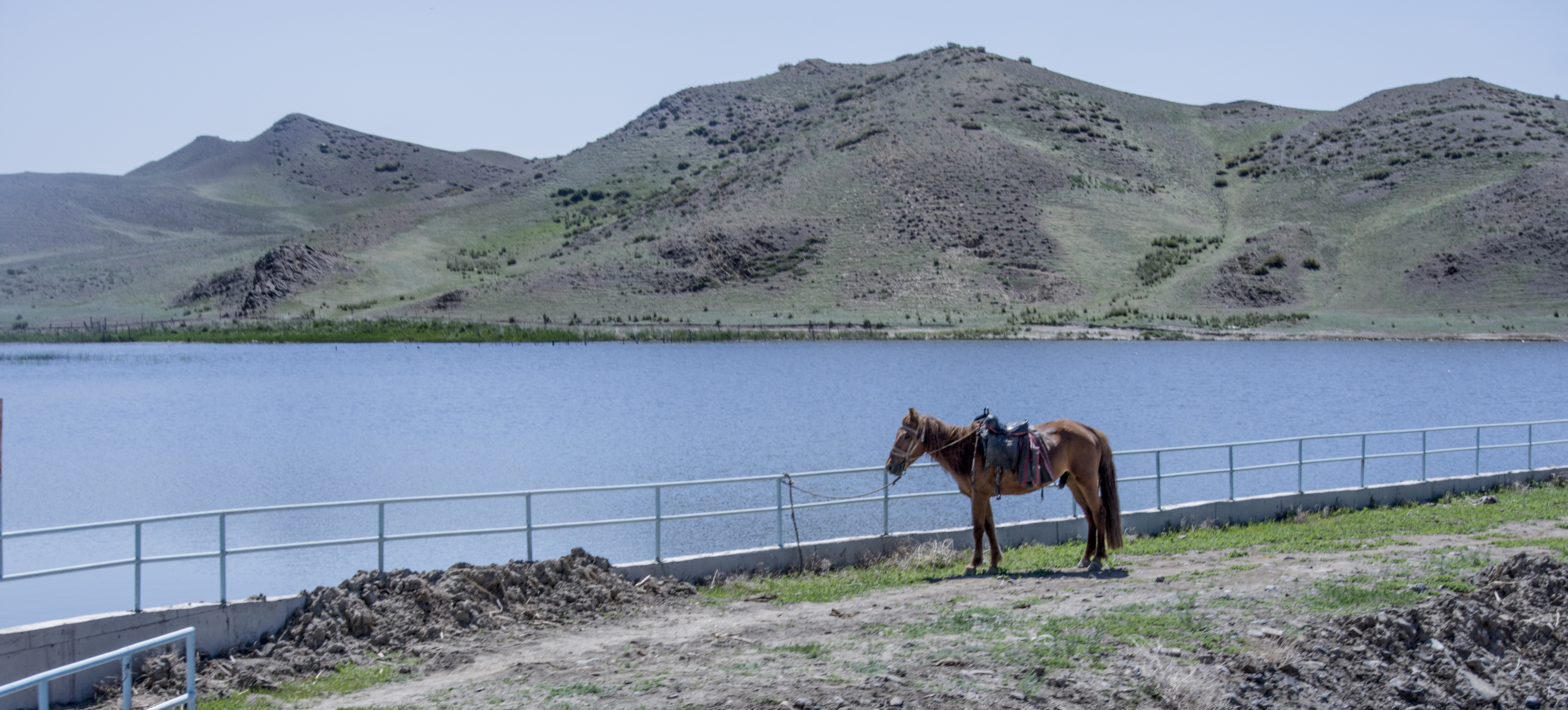 夜伊西月1230的個人主頁（封面預覽） - 主頁封面設置 - 站酷設計師夜伊西月1230原創(chuàng)素材 - 站酷ZCOOL