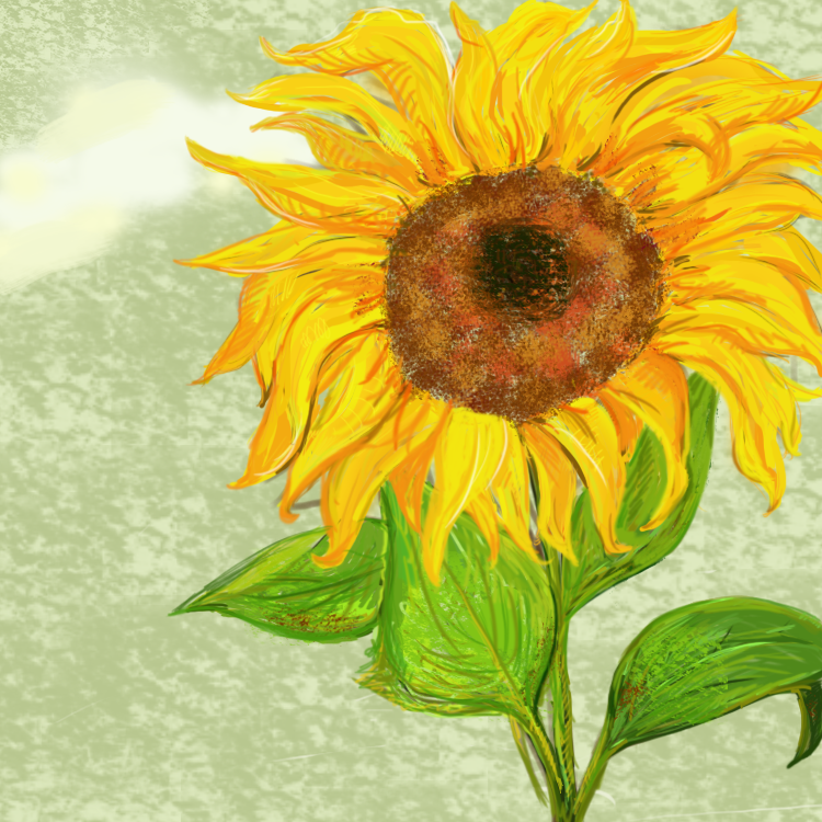 pm鵬鳥的個人主頁（封面預(yù)覽） - 主頁封面設(shè)置 - 站酷設(shè)計師pm鵬鳥原創(chuàng)素材 - 站酷ZCOOL