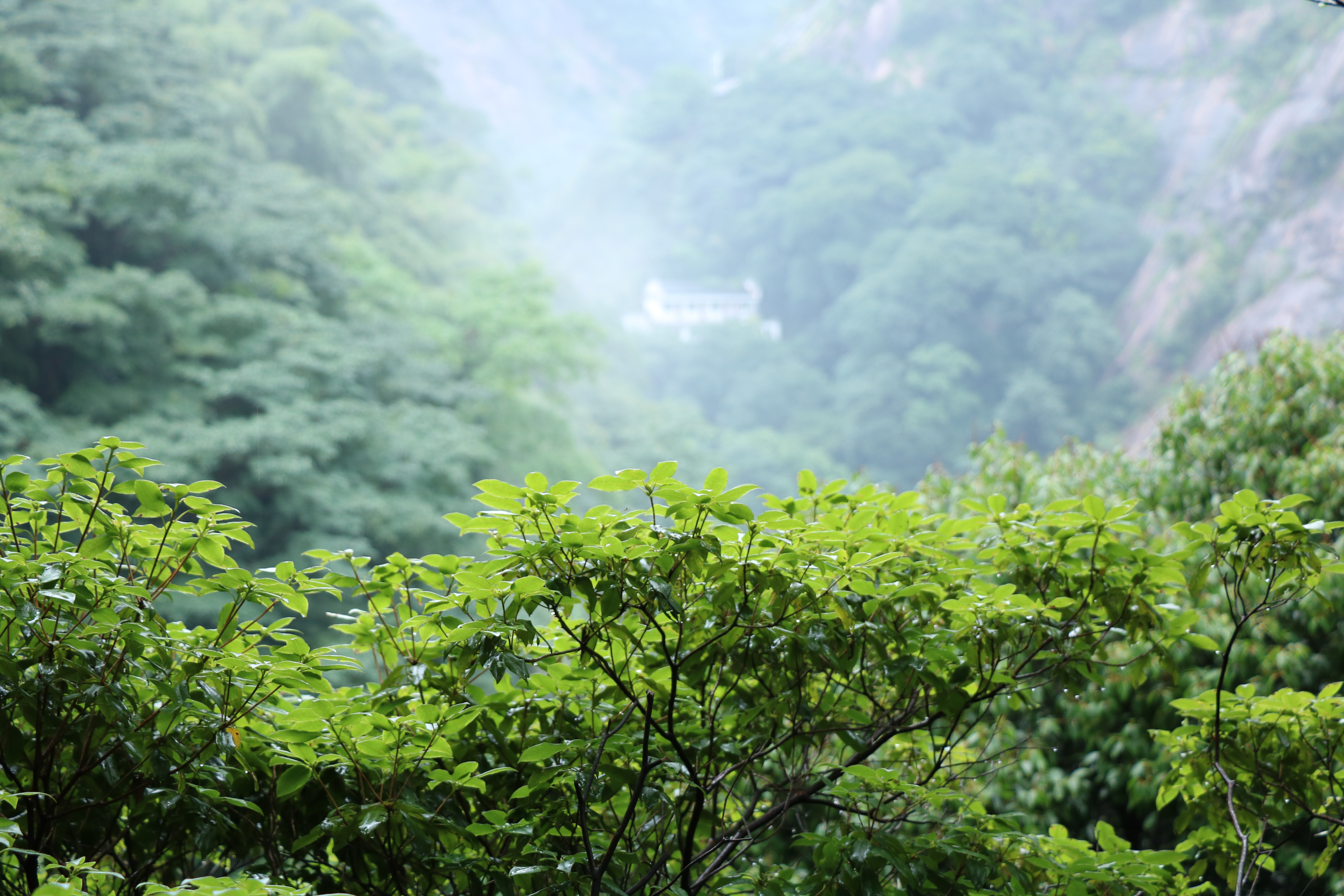 史努比家的熊孩子的个人主页（封面预览） - 主页封面设置 - 站酷设计师史努比家的熊孩子原创素材 - 站酷ZCOOL