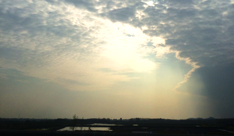 栒子木的阳光的个人主页（封面预览） - 主页封面设置 - 站酷设计师栒子木的阳光原创素材 - 站酷ZCOOL