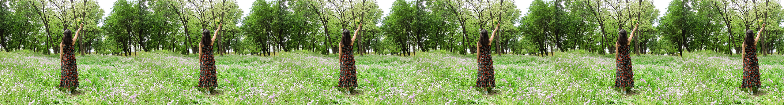 ZJ天真有邪的个人主页（封面预览） - 主页封面设置 - 站酷设计师ZJ天真有邪原创素材 - 站酷ZCOOL