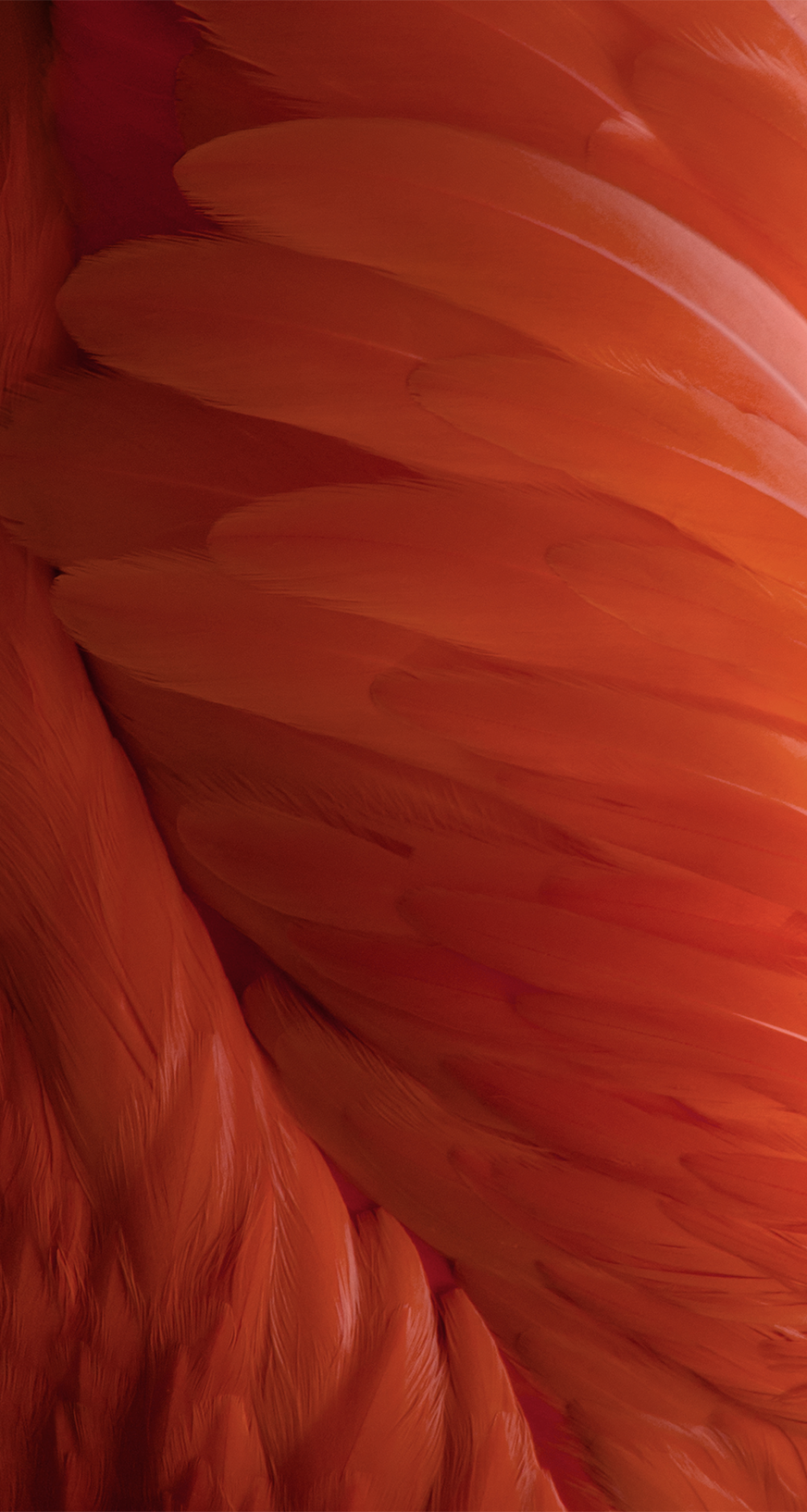 百石趣的個(gè)人主頁(yè)（封面預(yù)覽） - 主頁(yè)封面設(shè)置 - 站酷設(shè)計(jì)師百石趣原創(chuàng)素材 - 站酷ZCOOL