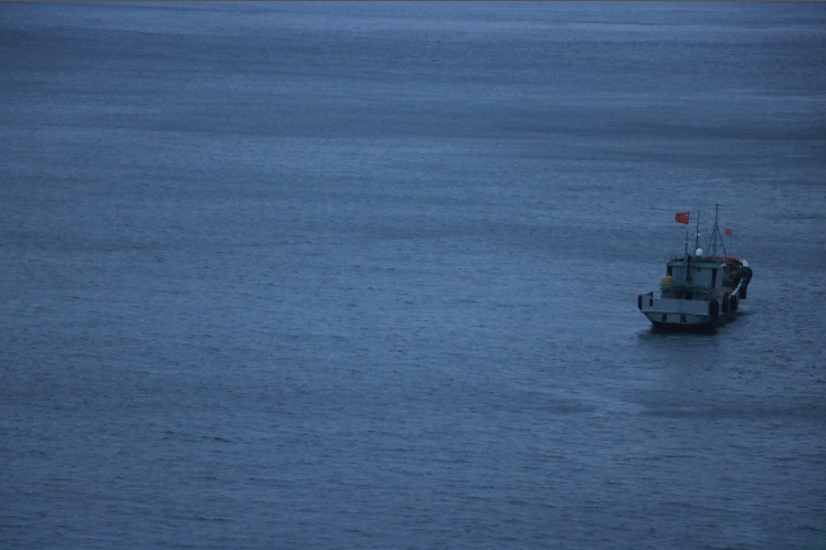 寄情鱷魚仔的個人主頁（封面預(yù)覽） - 主頁封面設(shè)置 - 站酷設(shè)計師寄情鱷魚仔原創(chuàng)素材 - 站酷ZCOOL