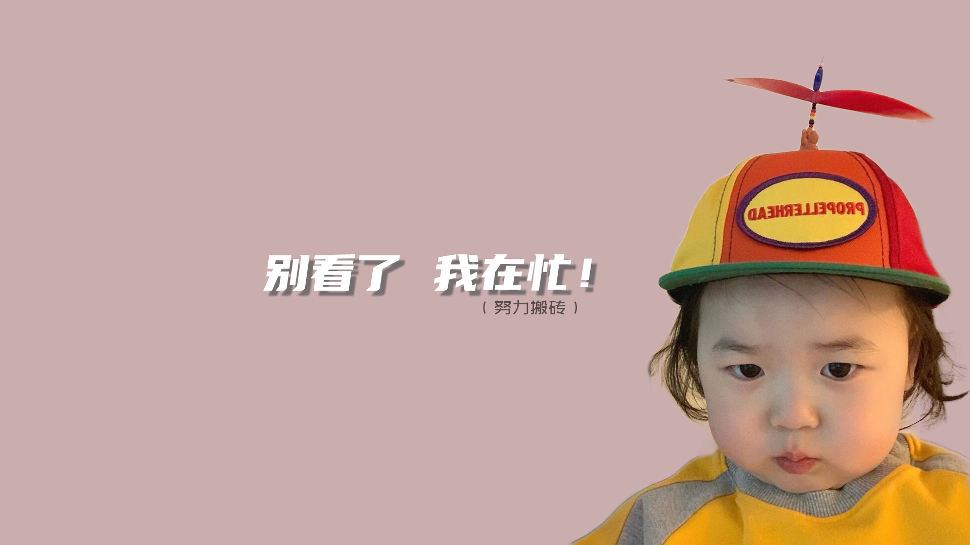 Ms__的个人主页（封面预览） - 主页封面设置 - 站酷设计师Ms__原创素材 - 站酷ZCOOL