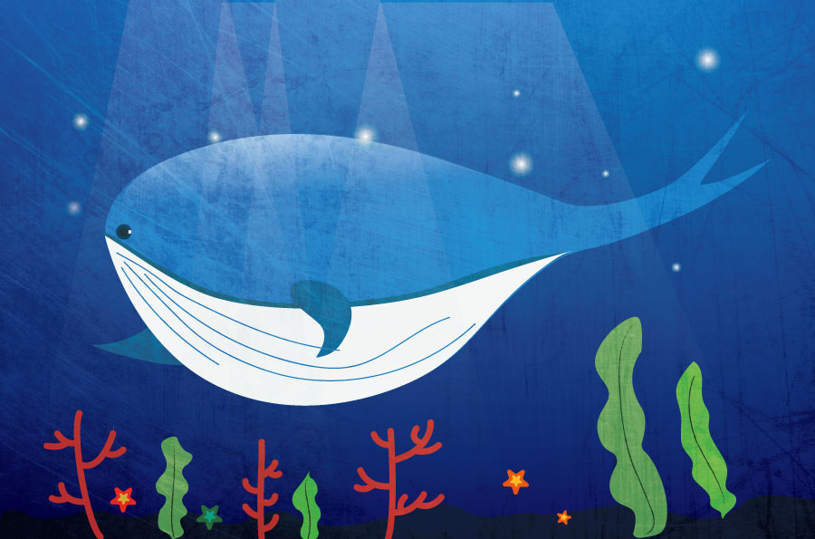 花木兰打不动的个人主页（封面预览） - 主页封面设置 - 站酷设计师花木兰打不动原创素材 - 站酷ZCOOL