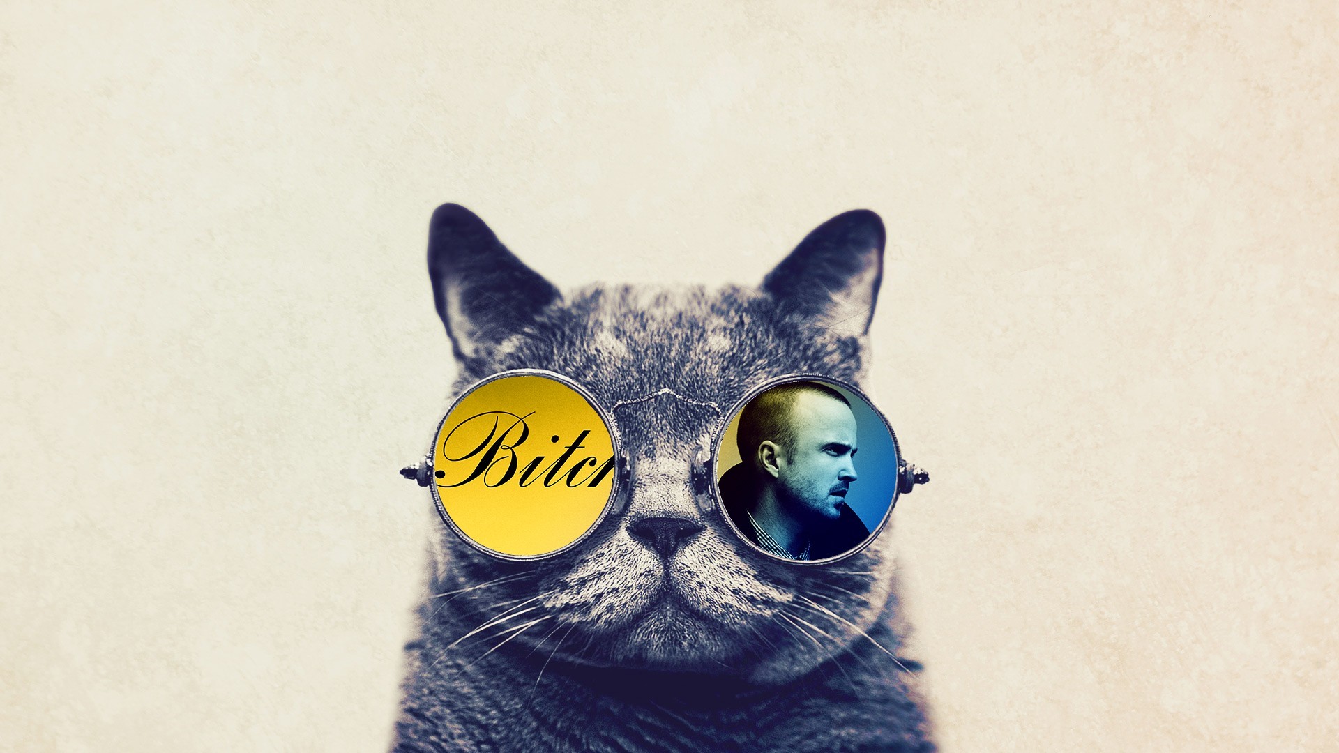 昼颜zc的个人主页（封面预览） - 主页封面设置 - 站酷设计师昼颜zc原创素材 - 站酷ZCOOL