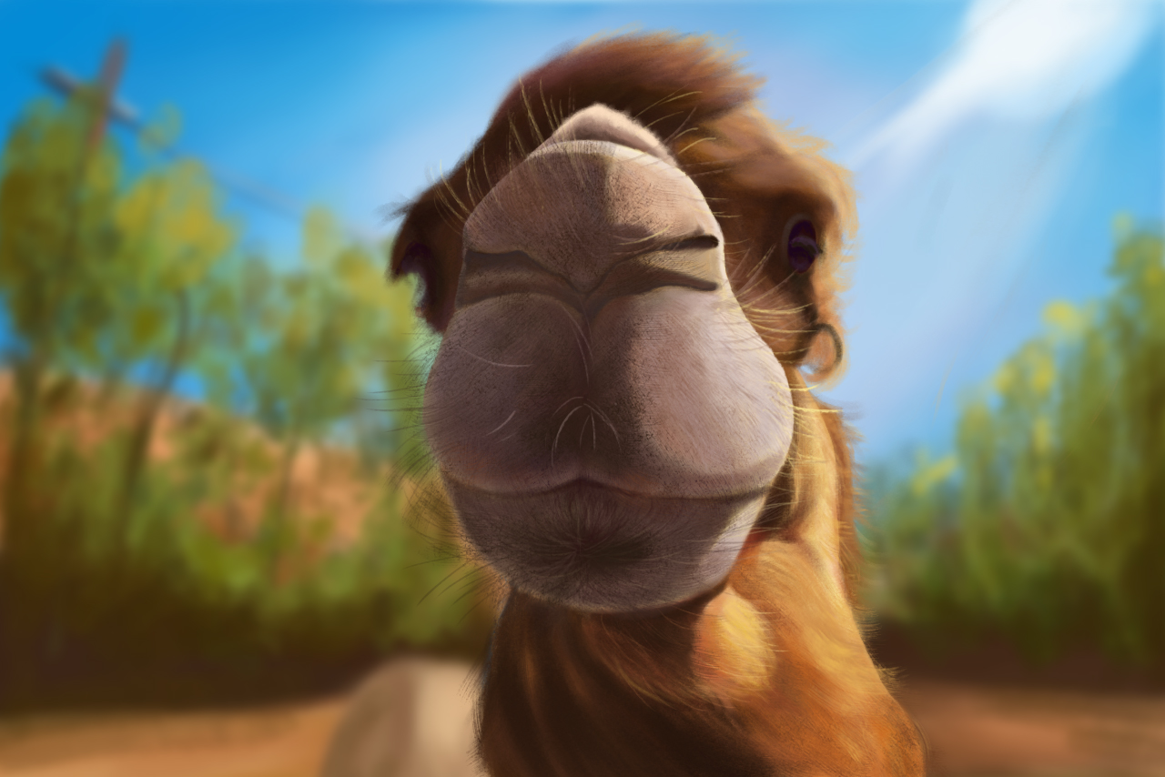 shawnlee1314的个人主页（封面预览） - 主页封面设置 - 站酷设计师shawnlee1314原创素材 - 站酷ZCOOL