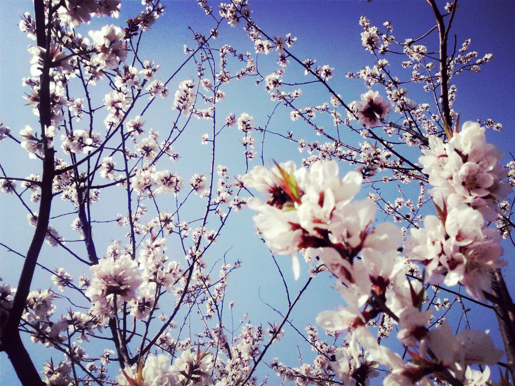 啾啾大魔王的个人主页（封面预览） - 主页封面设置 - 站酷设计师啾啾大魔王原创素材 - 站酷ZCOOL