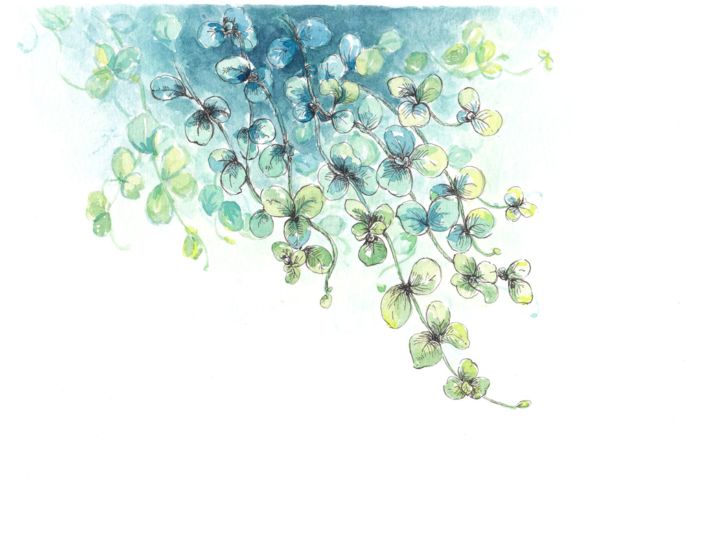 花花酱O的个人主页（封面预览） - 主页封面设置 - 站酷设计师花花酱O原创素材 - 站酷ZCOOL