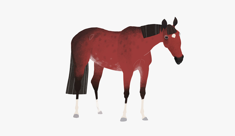 热情的小夫的个人主页（封面预览） - 主页封面设置 - 站酷设计师热情的小夫原创素材 - 站酷ZCOOL