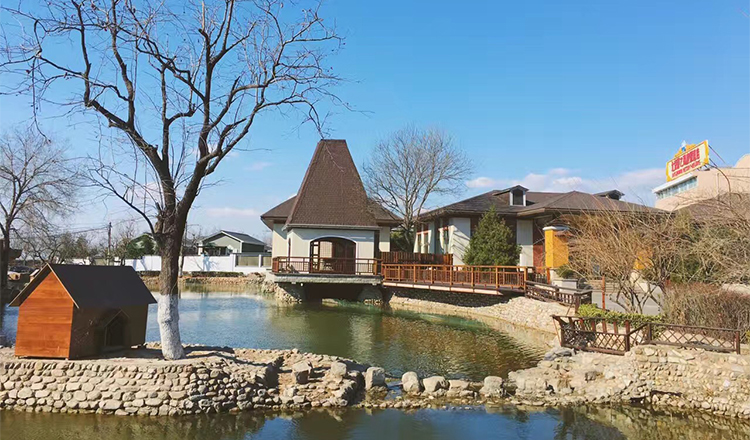 蕊彤L的個(gè)人主頁(yè)（封面預(yù)覽） - 主頁(yè)封面設(shè)置 - 站酷設(shè)計(jì)師蕊彤L原創(chuàng)素材 - 站酷ZCOOL