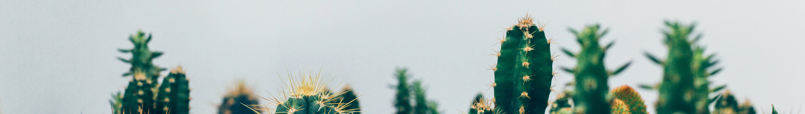 邵言的个人主页（封面预览） - 主页封面设置 - 站酷设计师邵言原创素材 - 站酷ZCOOL