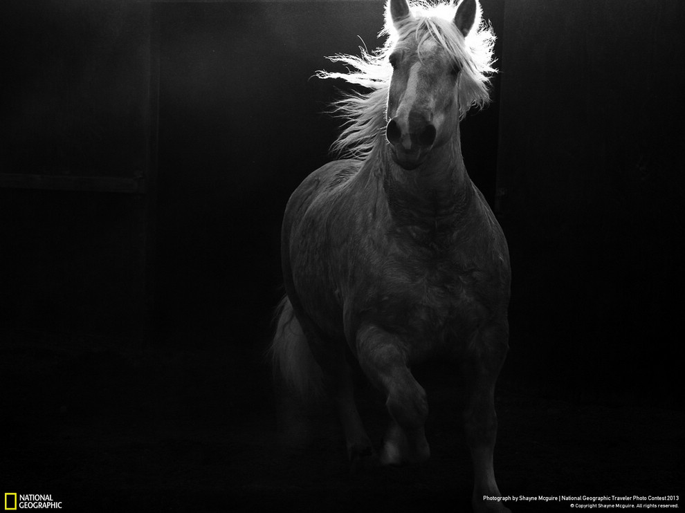 設計小工的個人主頁（封面預覽） - 主頁封面設置 - 站酷設計師設計小工原創(chuàng)素材 - 站酷ZCOOL