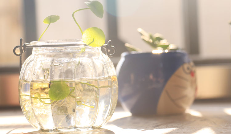 Heywooya的个人主页（封面预览） - 主页封面设置 - 站酷设计师Heywooya原创素材 - 站酷ZCOOL