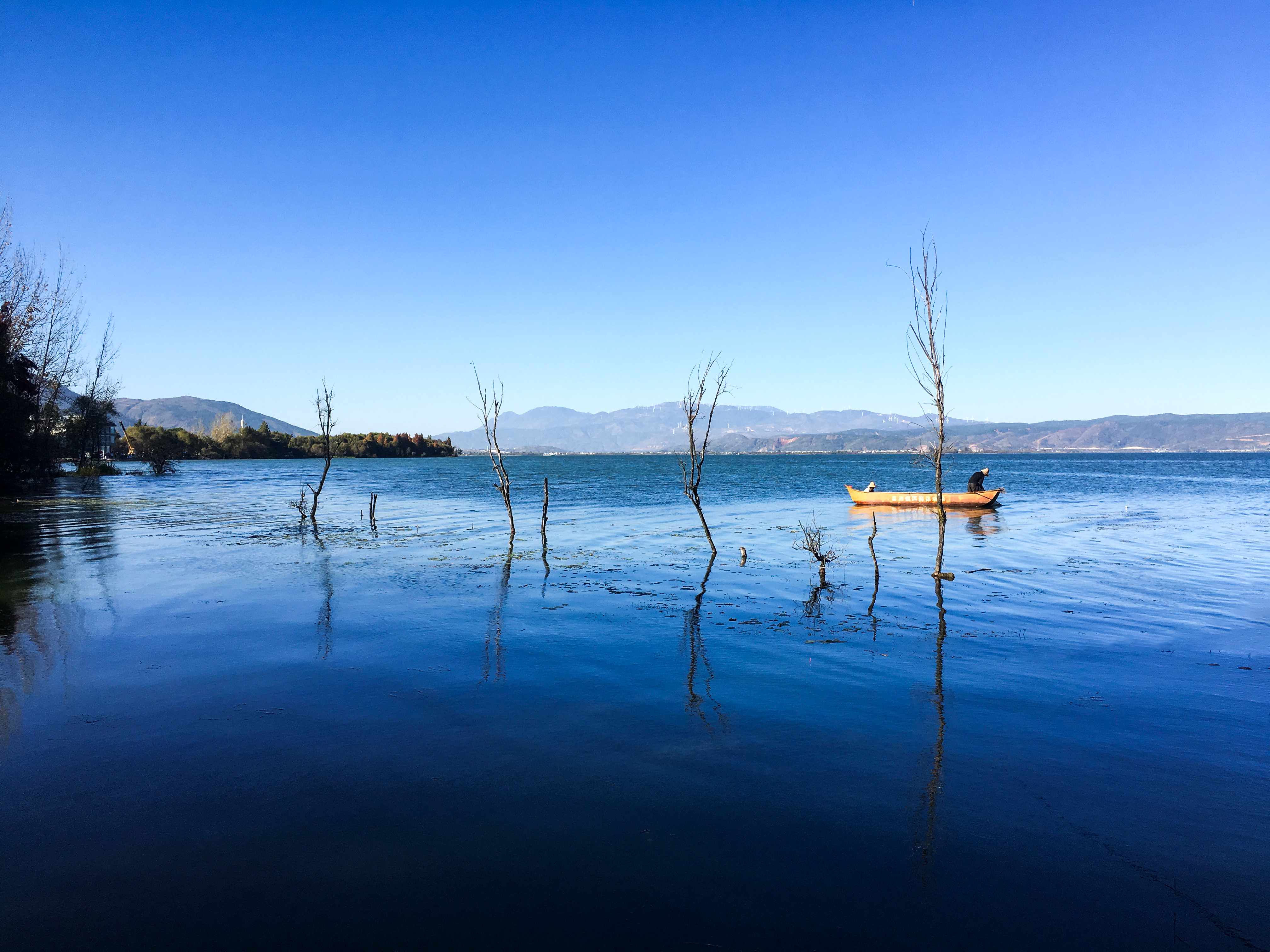 飛人类的个人主页（封面预览） - 主页封面设置 - 站酷设计师飛人类原创素材 - 站酷ZCOOL