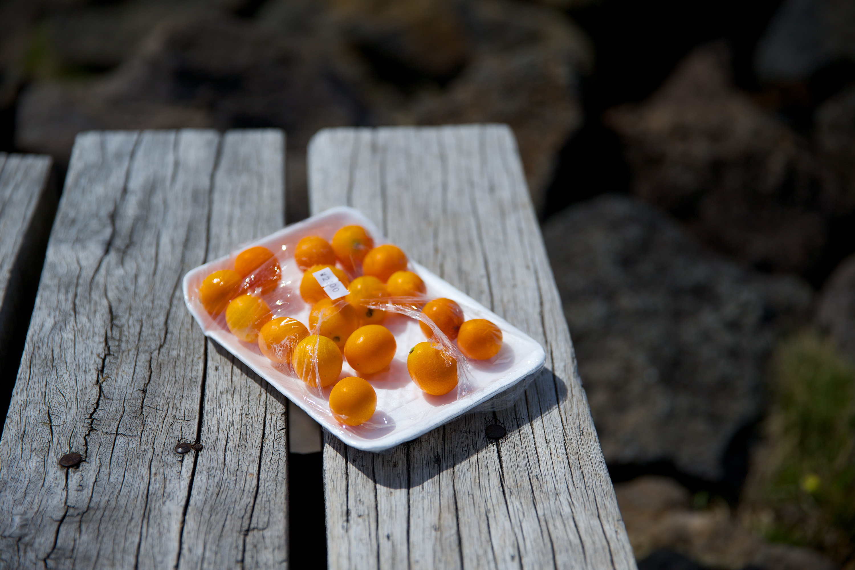 乖乖神童的个人主页（封面预览） - 主页封面设置 - 站酷设计师乖乖神童原创素材 - 站酷ZCOOL