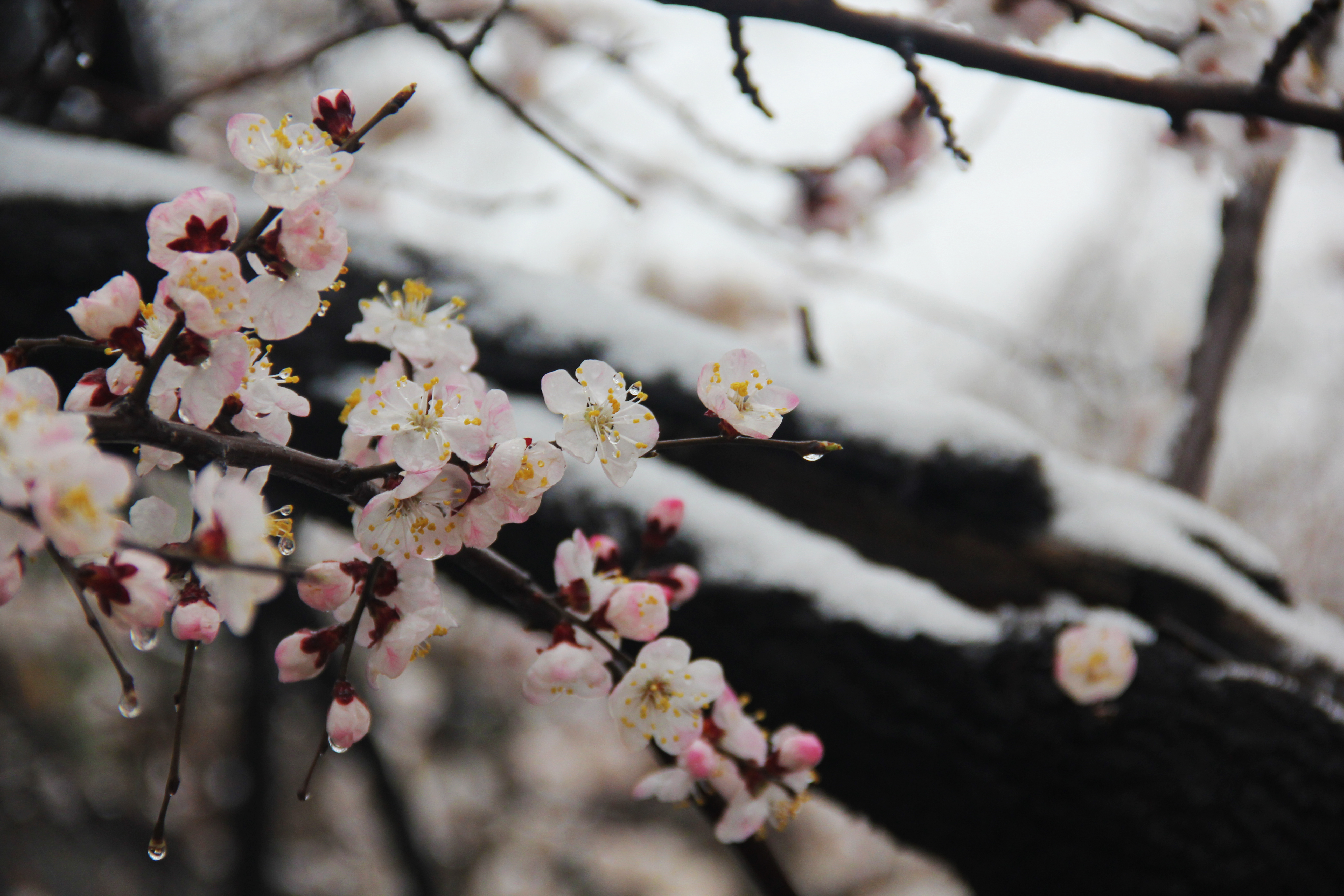王珮光的个人主页（封面预览） - 主页封面设置 - 站酷设计师王珮光原创素材 - 站酷ZCOOL