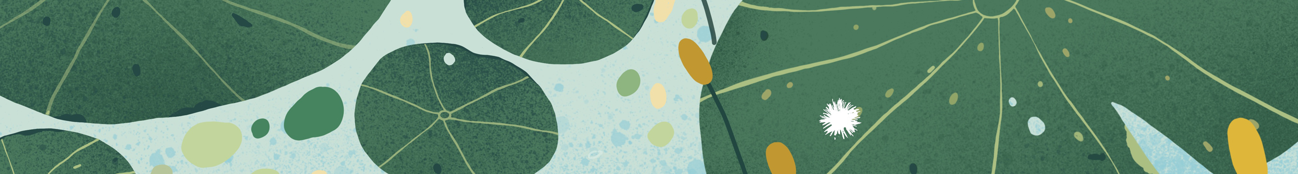 喵卜的個人主頁（封面預(yù)覽） - 主頁封面設(shè)置 - 站酷設(shè)計師喵卜原創(chuàng)素材 - 站酷ZCOOL