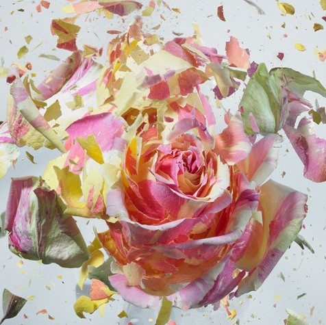 程琬秋的个人主页（封面预览） - 主页封面设置 - 站酷设计师程琬秋原创素材 - 站酷ZCOOL