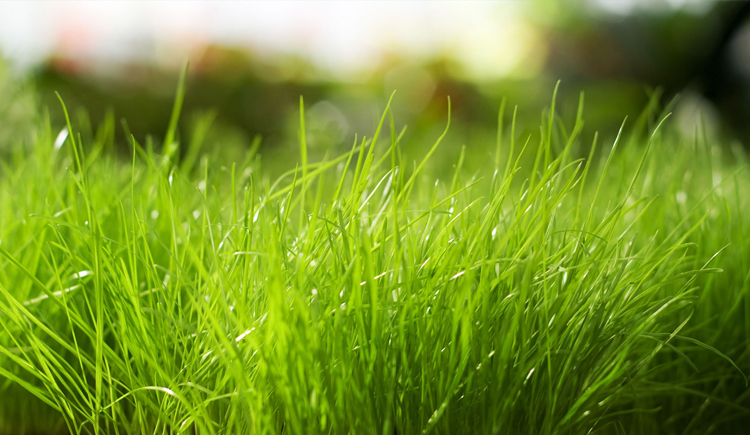 IShuang的个人主页（封面预览） - 主页封面设置 - 站酷设计师IShuang原创素材 - 站酷ZCOOL