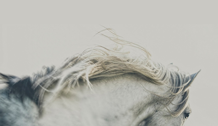 海豚灣jyj的個(gè)人主頁（封面預(yù)覽） - 主頁封面設(shè)置 - 站酷設(shè)計(jì)師海豚灣jyj原創(chuàng)素材 - 站酷ZCOOL