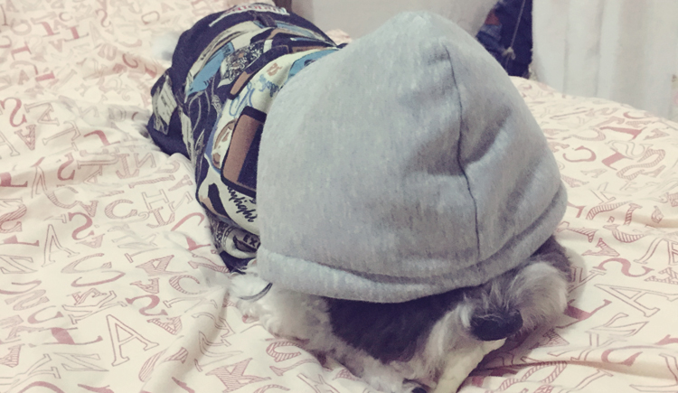 小水就是小水的个人主页（封面预览） - 主页封面设置 - 站酷设计师小水就是小水原创素材 - 站酷ZCOOL