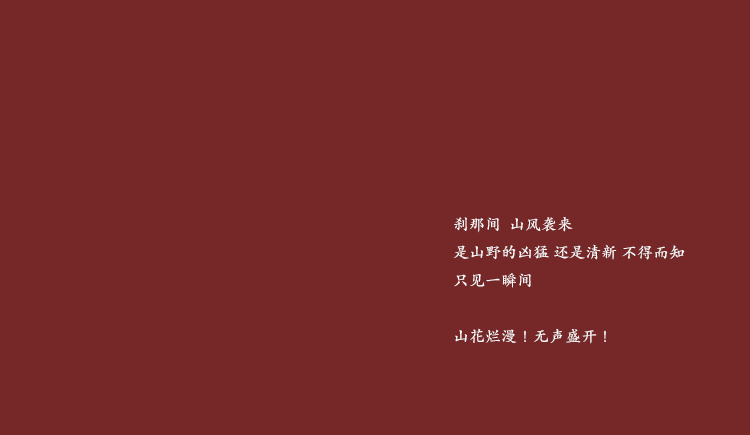 阿呆回归的个人主页（封面预览） - 主页封面设置 - 站酷设计师阿呆回归原创素材 - 站酷ZCOOL