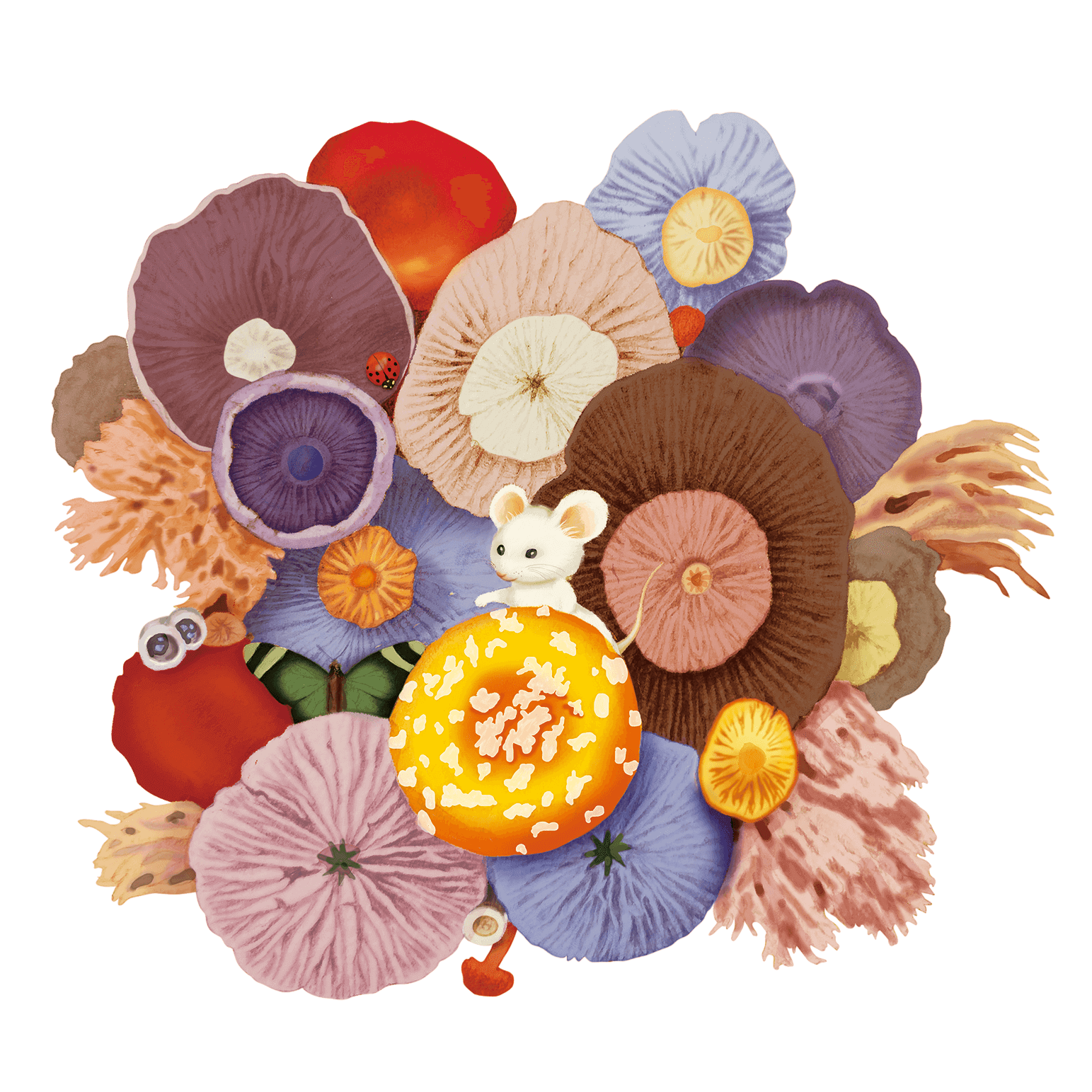 zzzzd333的个人主页（封面预览） - 主页封面设置 - 站酷设计师zzzzd333原创素材 - 站酷ZCOOL