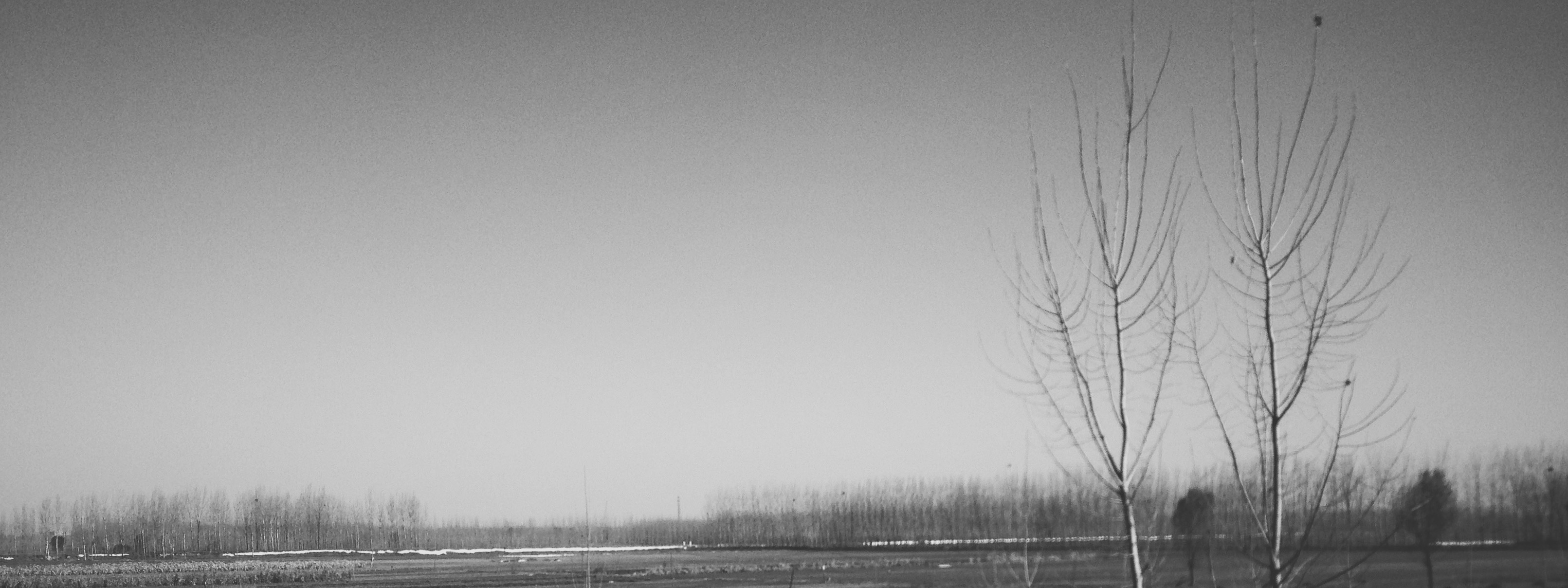 嵬君的个人主页（封面预览） - 主页封面设置 - 站酷设计师嵬君原创素材 - 站酷ZCOOL