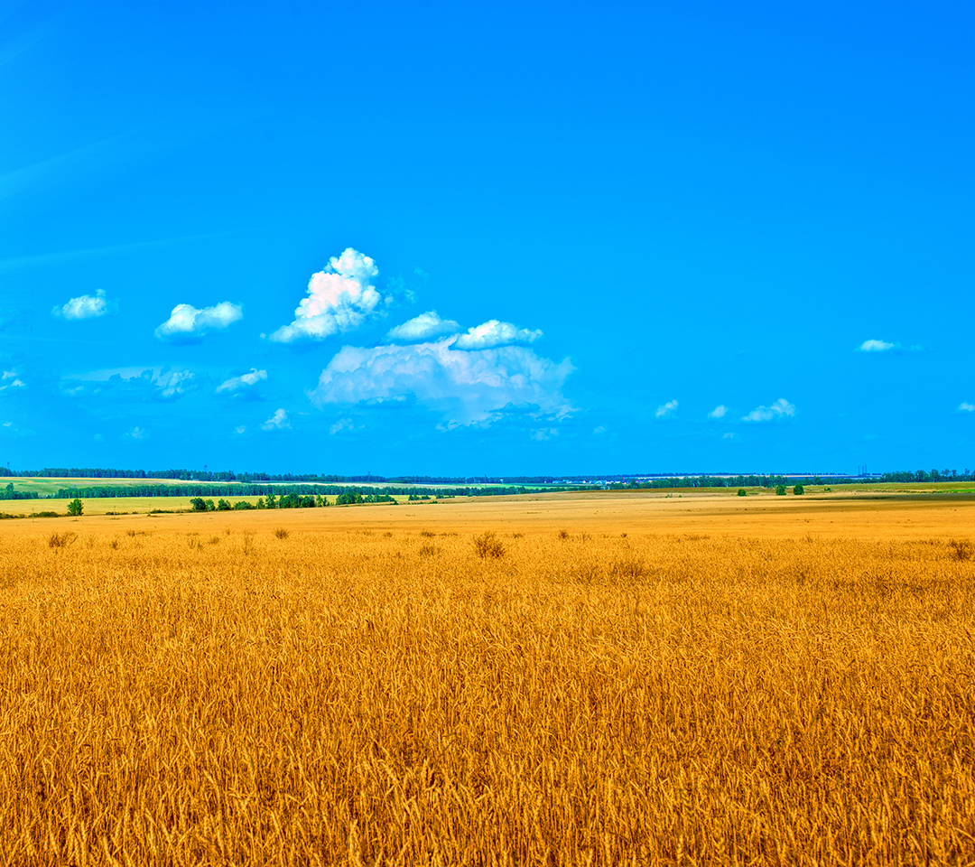 背后的太阳的个人主页（封面预览） - 主页封面设置 - 站酷设计师背后的太阳原创素材 - 站酷ZCOOL