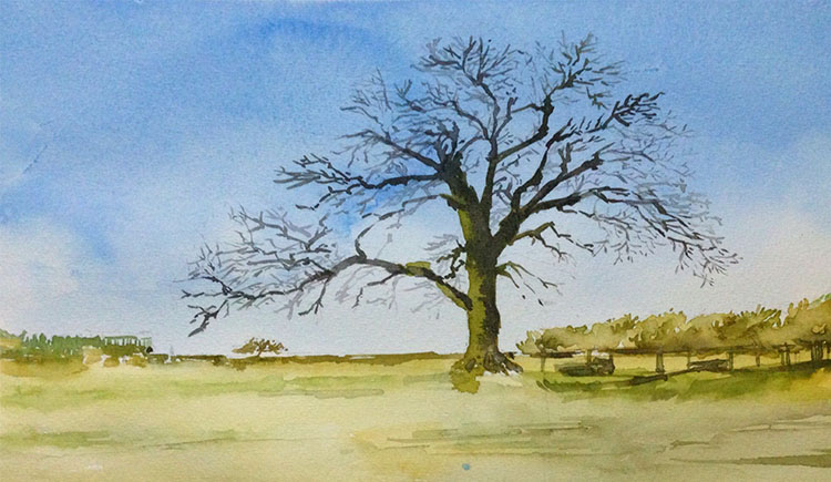 Arwwen的个人主页（封面预览） - 主页封面设置 - 站酷设计师Arwwen原创素材 - 站酷ZCOOL