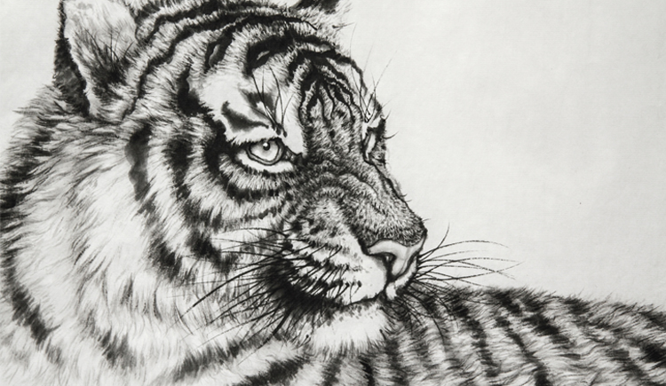 virgilluo的个人主页（封面预览） - 主页封面设置 - 站酷设计师virgilluo原创素材 - 站酷ZCOOL