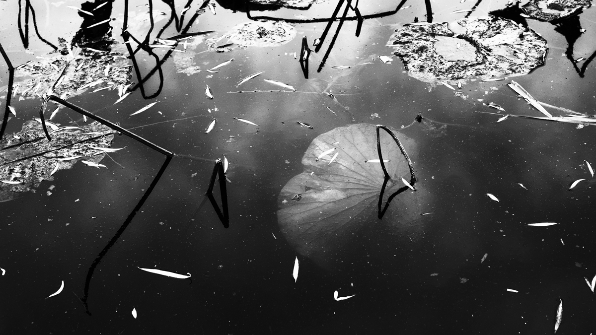 大头臻真大头的个人主页（封面预览） - 主页封面设置 - 站酷设计师大头臻真大头原创素材 - 站酷ZCOOL