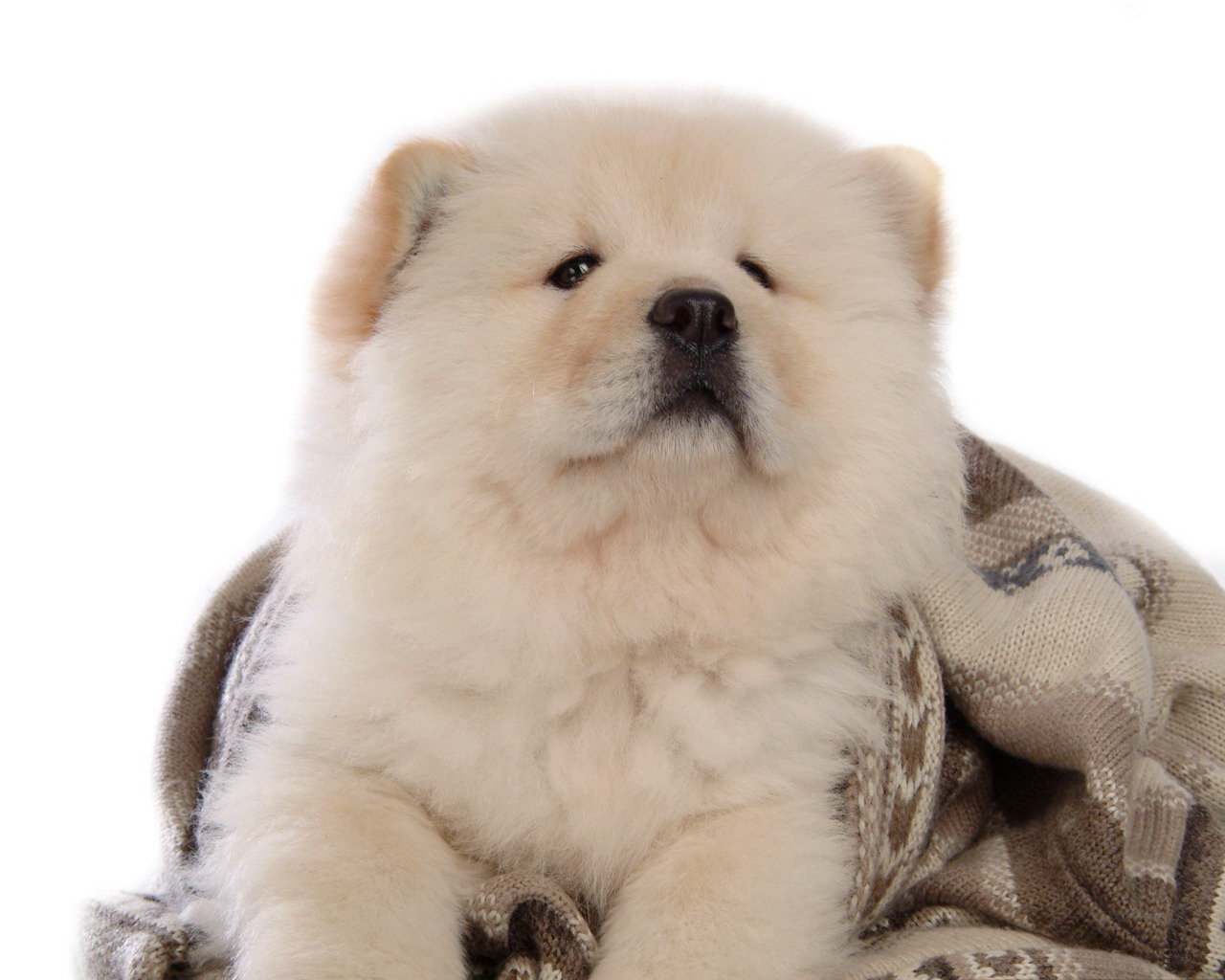 tangliyi的個人主頁（封面預(yù)覽） - 主頁封面設(shè)置 - 站酷設(shè)計師tangliyi原創(chuàng)素材 - 站酷ZCOOL