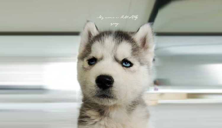 L000BY的个人主页（封面预览） - 主页封面设置 - 站酷设计师L000BY原创素材 - 站酷ZCOOL