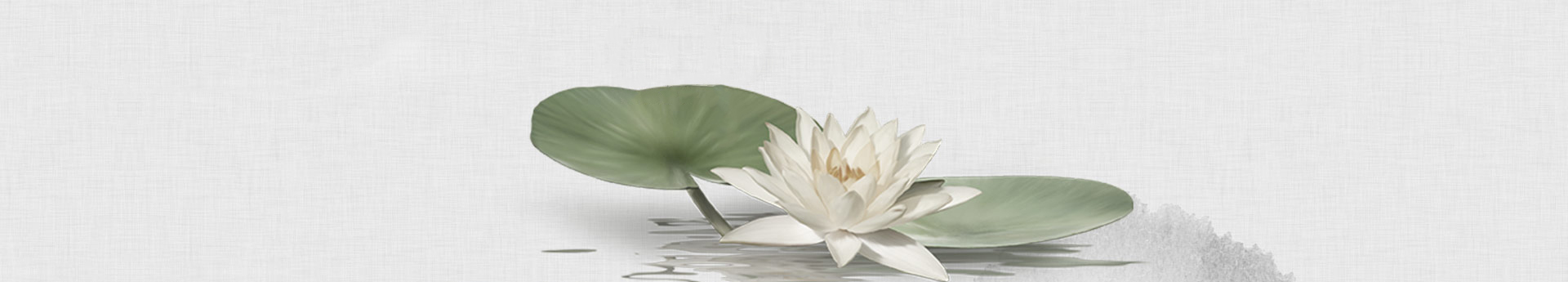 狂暴小蘑菇的個人主頁（封面預(yù)覽） - 主頁封面設(shè)置 - 站酷設(shè)計師狂暴小蘑菇原創(chuàng)素材 - 站酷ZCOOL