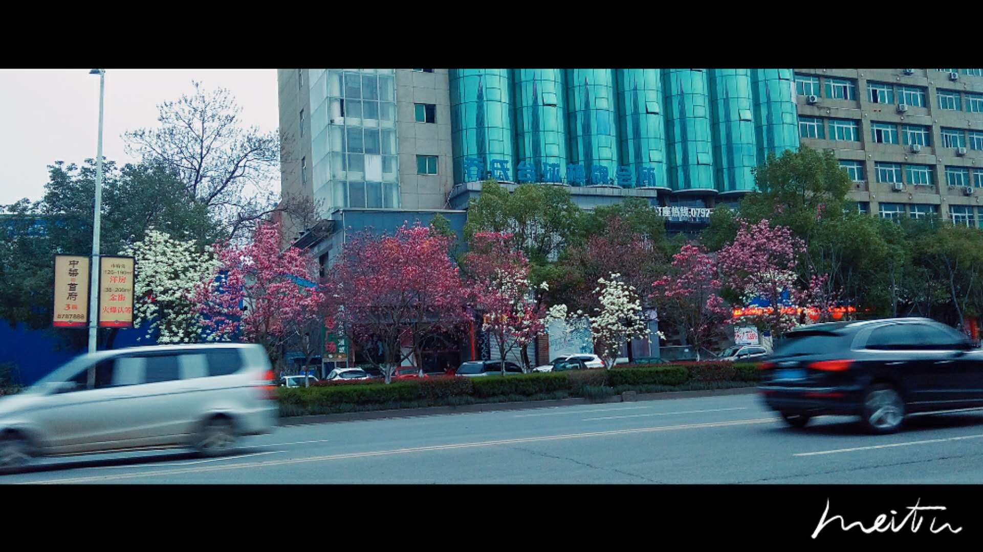 蝉鱼的个人主页（封面预览） - 主页封面设置 - 站酷设计师蝉鱼原创素材 - 站酷ZCOOL