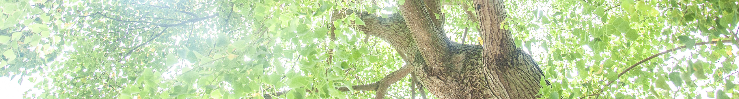 影子_的個人主頁（封面預覽） - 主頁封面設(shè)置 - 站酷設(shè)計師影子_原創(chuàng)素材 - 站酷ZCOOL