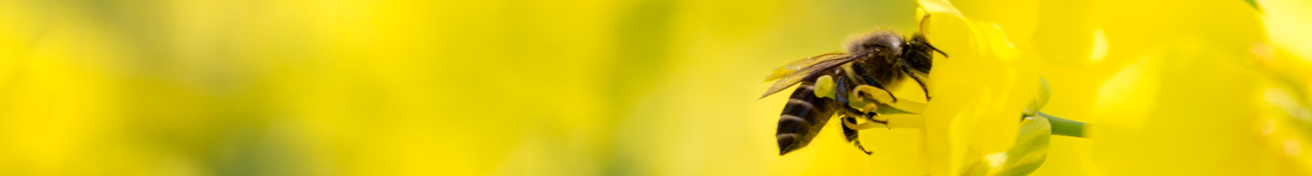 在小时候的回音上的个人主页（封面预览） - 主页封面设置 - 站酷设计师在小时候的回音上原创素材 - 站酷ZCOOL