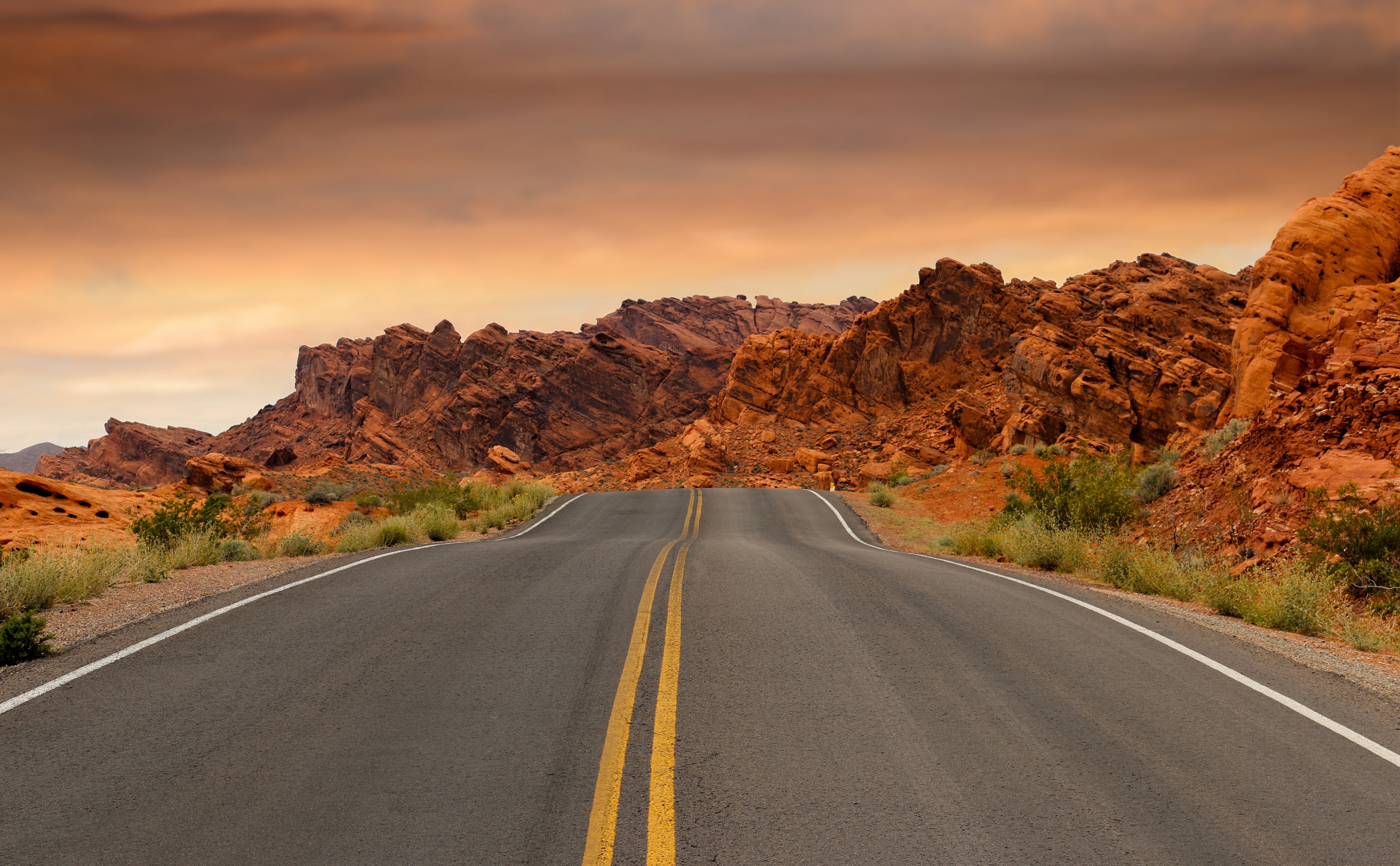 95真知棒的個人主頁（封面預(yù)覽） - 主頁封面設(shè)置 - 站酷設(shè)計師95真知棒原創(chuàng)素材 - 站酷ZCOOL