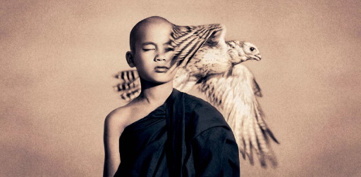 李净一的个人主页（封面预览） - 主页封面设置 - 站酷设计师李净一原创素材 - 站酷ZCOOL