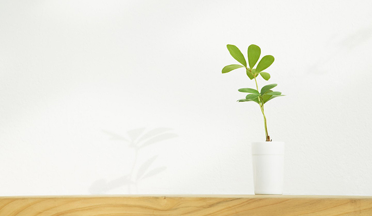 树上鱼的个人主页（封面预览） - 主页封面设置 - 站酷设计师树上鱼原创素材 - 站酷ZCOOL