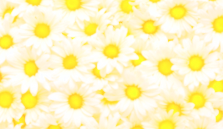 晴柔造梦的个人主页（封面预览） - 主页封面设置 - 站酷设计师晴柔造梦原创素材 - 站酷ZCOOL