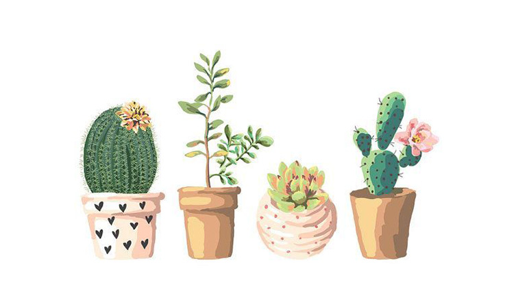 檸檬插畫的個人主頁（封面預覽） - 主頁封面設置 - 站酷設計師檸檬插畫原創(chuàng)素材 - 站酷ZCOOL