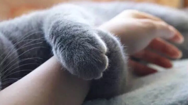 包子約翰zh的個(gè)人主頁（封面預(yù)覽） - 主頁封面設(shè)置 - 站酷設(shè)計(jì)師包子約翰zh原創(chuàng)素材 - 站酷ZCOOL